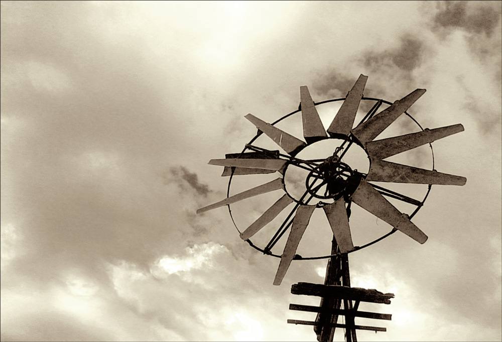 Photography by Budmulla for DesignCrowd (Community Contests) | Design #9070120
