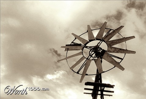 Photography by Budmulla