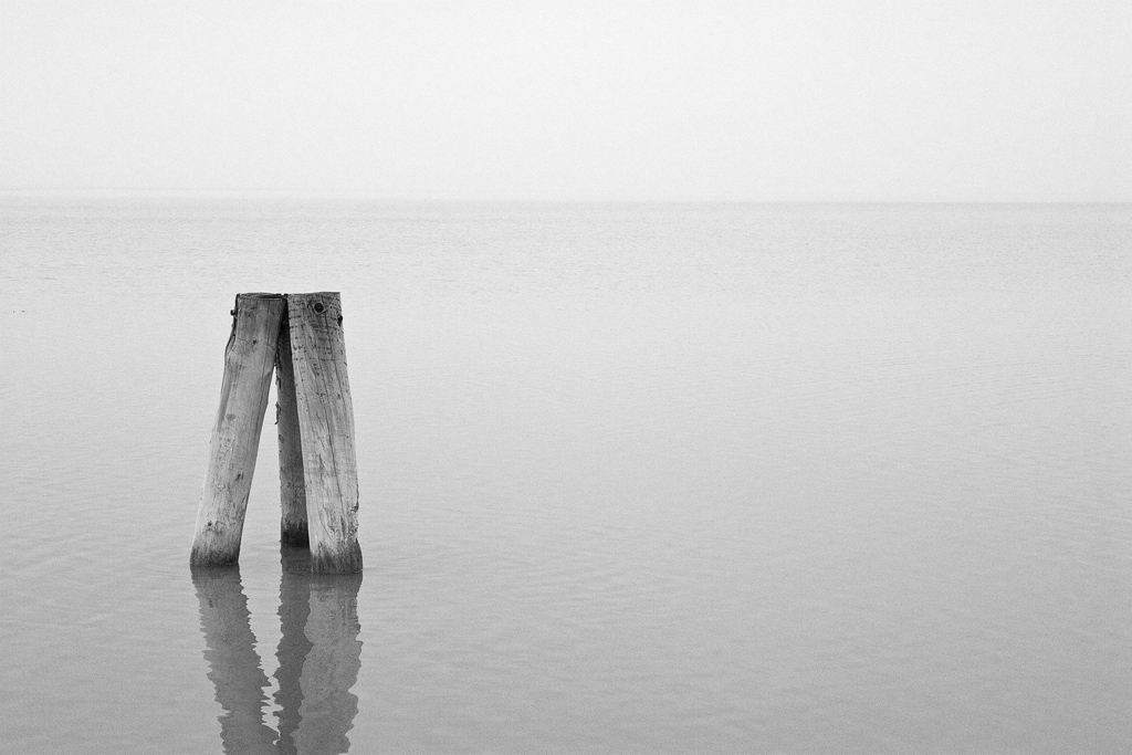 Photography by robster for DesignCrowd (Community Contests) | Design #9070092