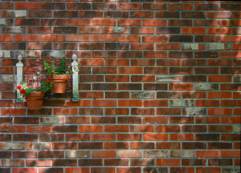 Photography by psyclone for DesignCrowd (Community Contests) | Design #9070155