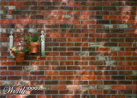 Photography by psyclone