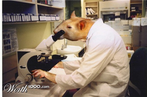 Photoshop Design by crzyme