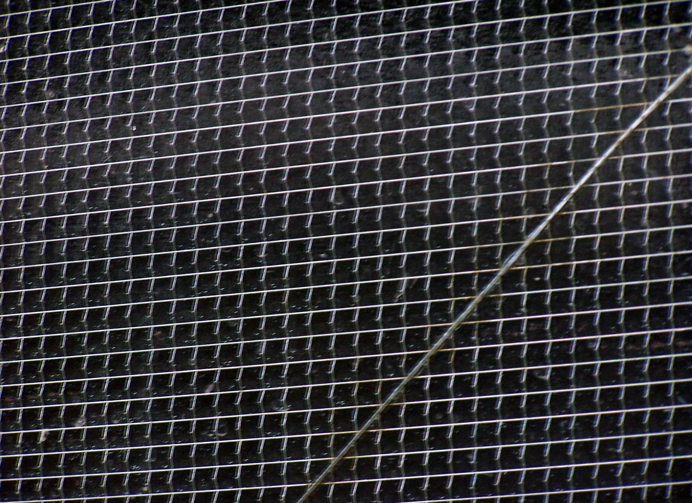 Photography by jamairoboo for DesignCrowd (Community Contests) | Design #9090907