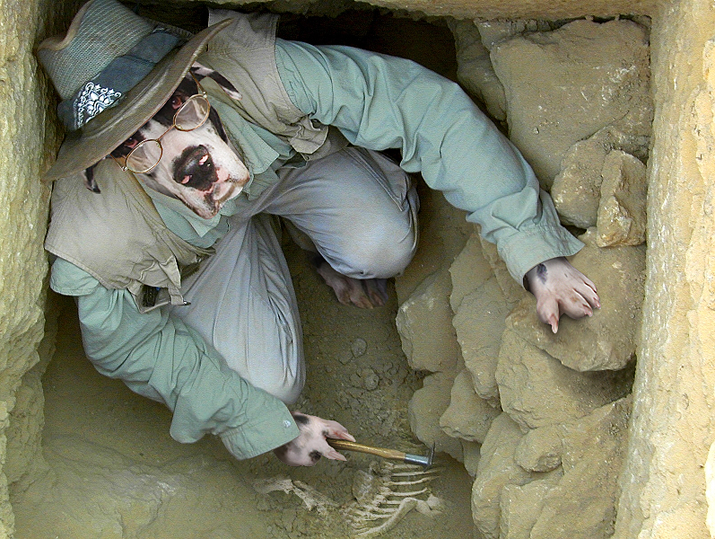 Design Photoshop par UNSUB1 pour DesignCrowd (Community Contests) | Design #9087641