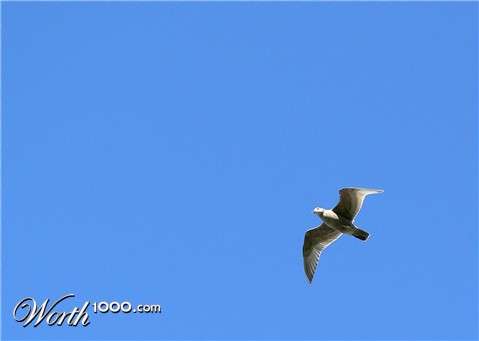 Photography by pegsguy