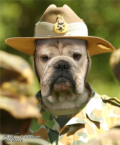 Photoshop Design by digammo