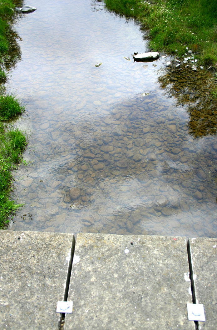 Fotografía por havelock para DesignCrowd (Community Contests) | Diseño #9089140