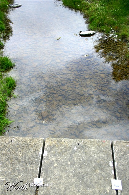 Photography by havelock