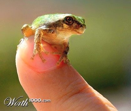 Photography by ewall53