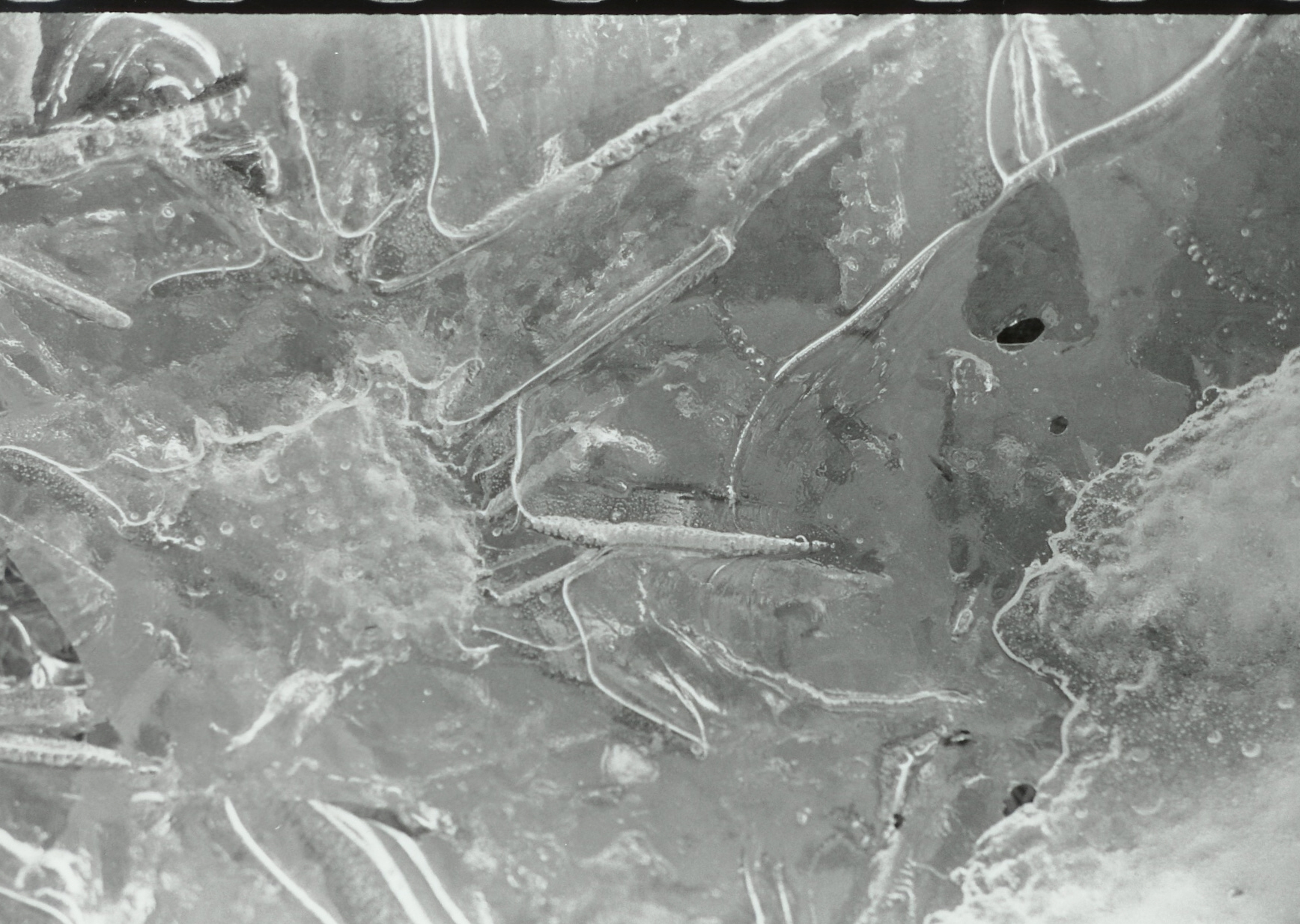 Photography by KCBroadway for DesignCrowd (Community Contests) | Design #9085860