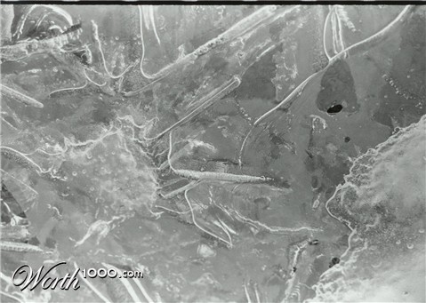 Photography by KCBroadway