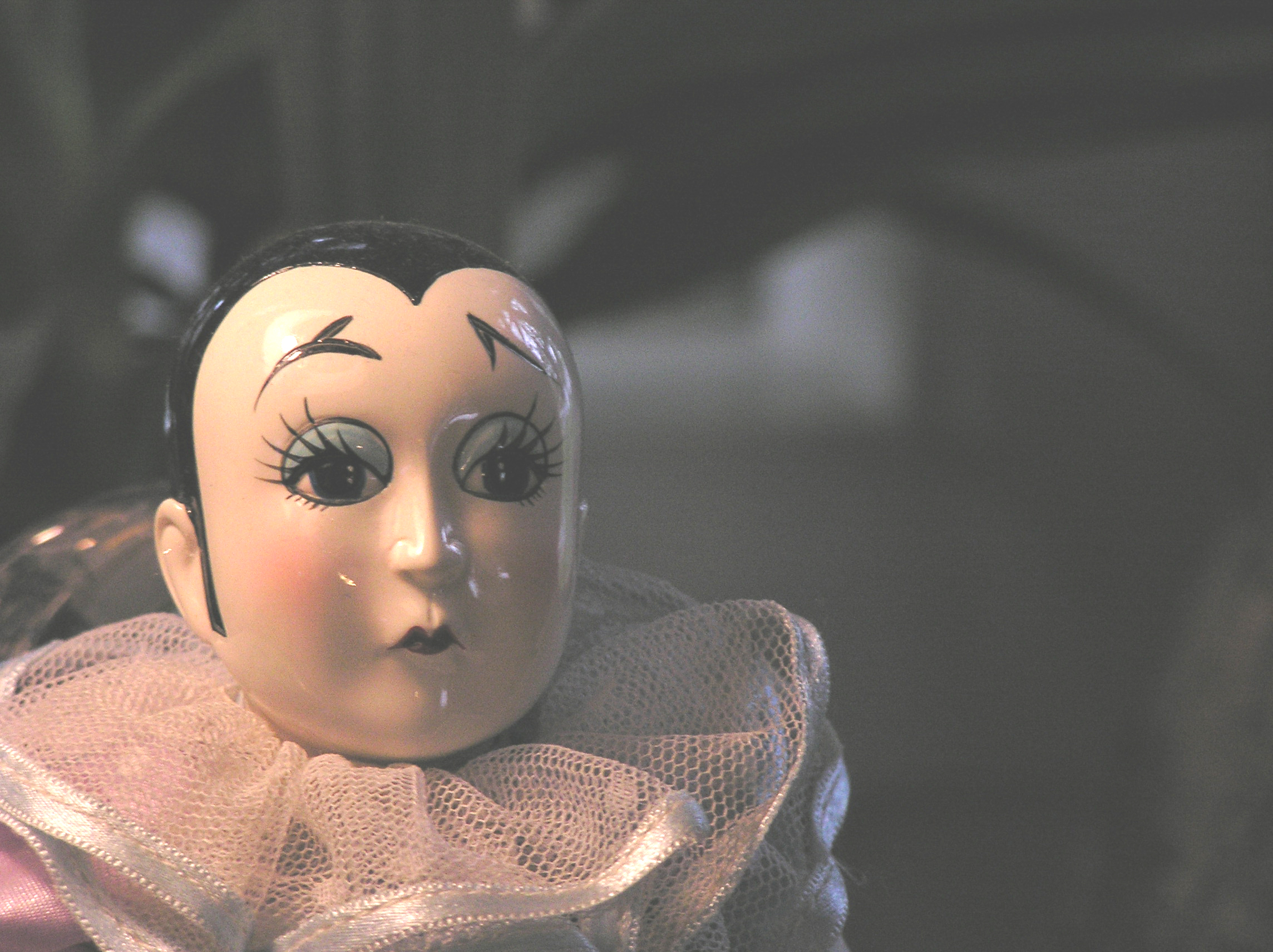 Photography by marygoodwater for DesignCrowd (Community Contests) | Design #9089174