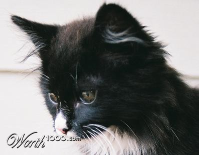 Photography by Larah McElroy