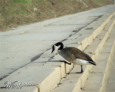 Photography by eqqman