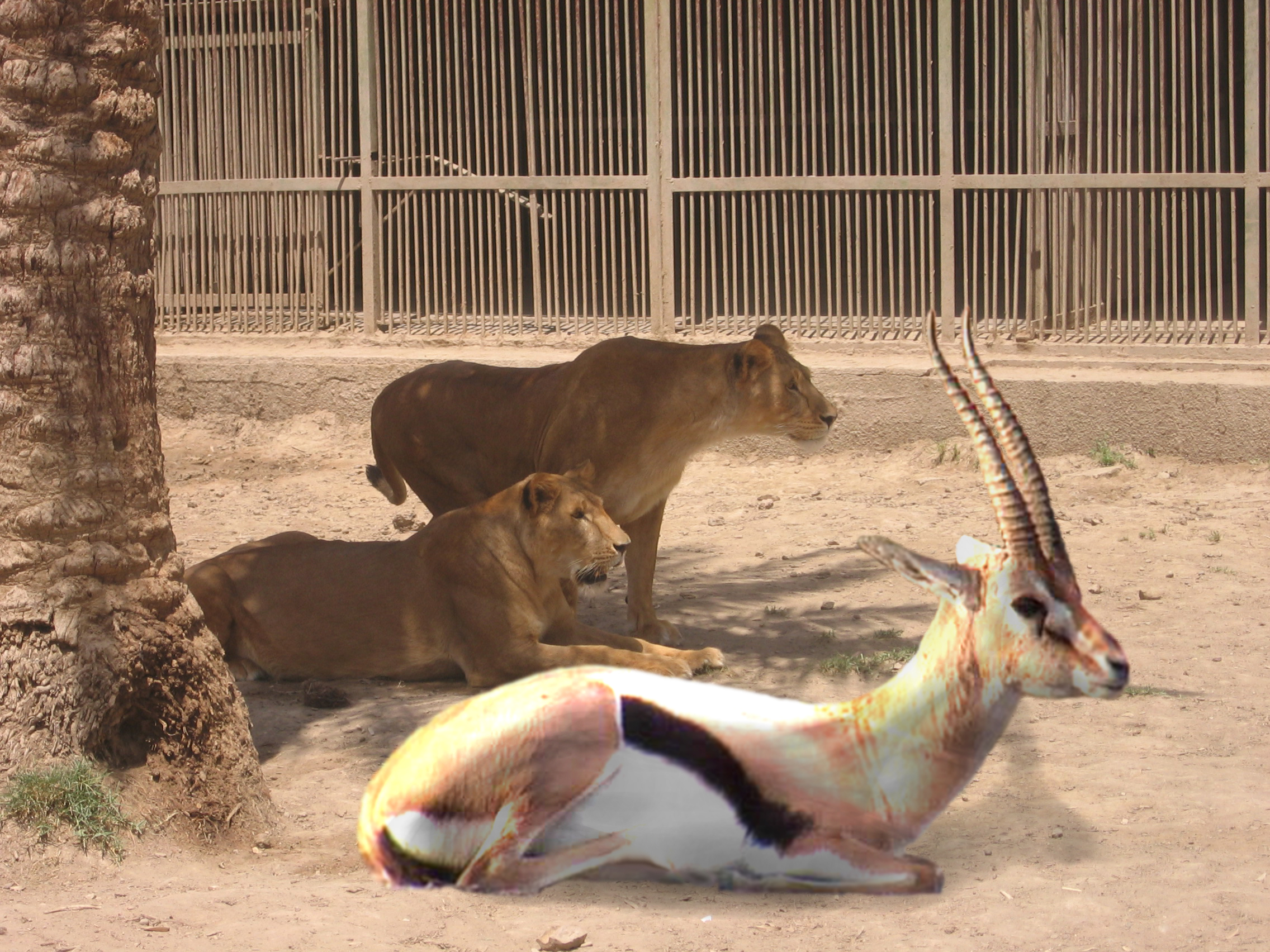 Diseño de Photoshop por Motiscool para DesignCrowd (Community Contests) | Diseño #9087938