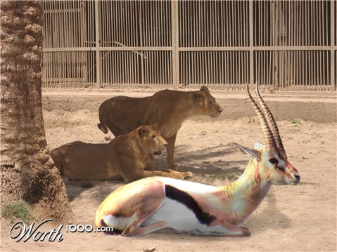 Photoshop Design by Motiscool