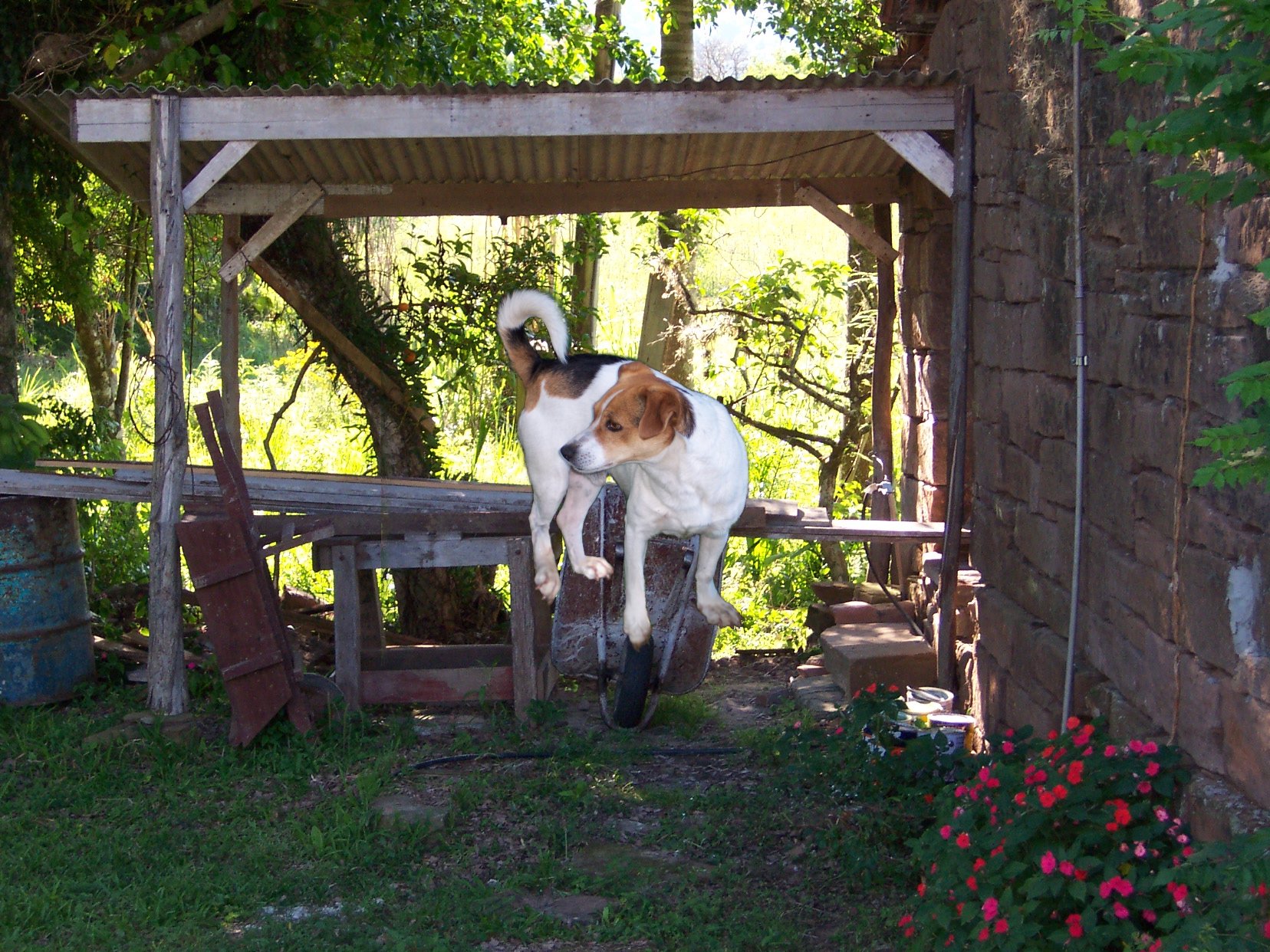 Photoshop Design by yavannilde for DesignCrowd (Community Contests) | Design #9086803