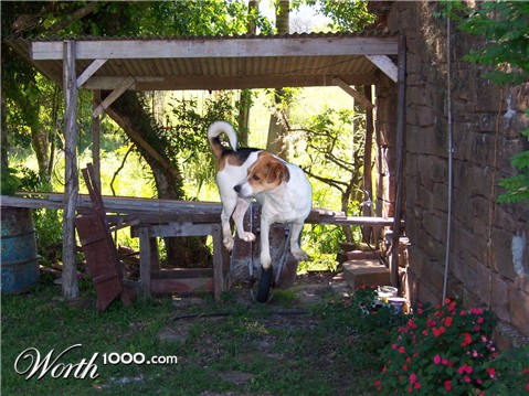 Photoshop Design by yavannilde