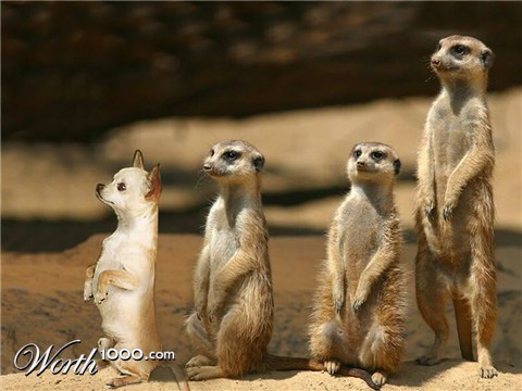 Photoshop Design by snadig