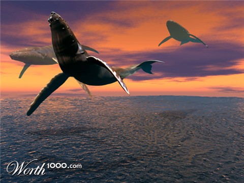 Photoshop Design by Terrence