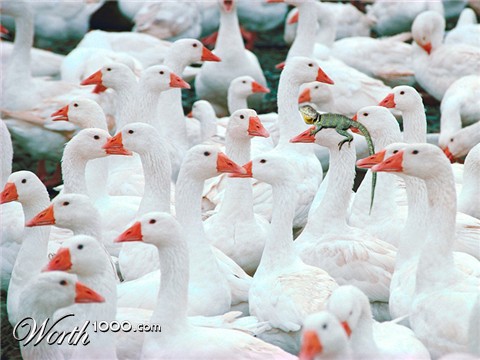 Photoshop Design by xyzerman