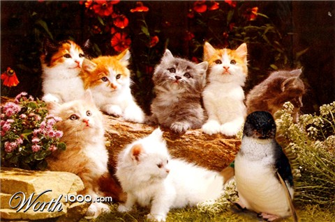 Photoshop Design by diversi0n