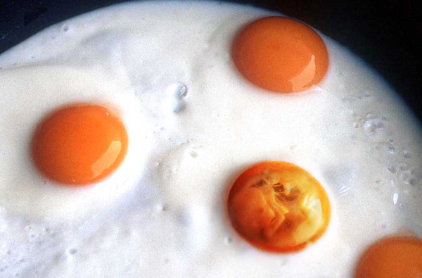 Photoshop Design by toadclipper for DesignCrowd (Community Contests) | Design #9088011