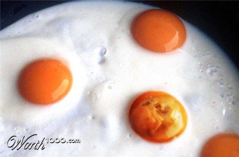 Photoshop Design by toadclipper