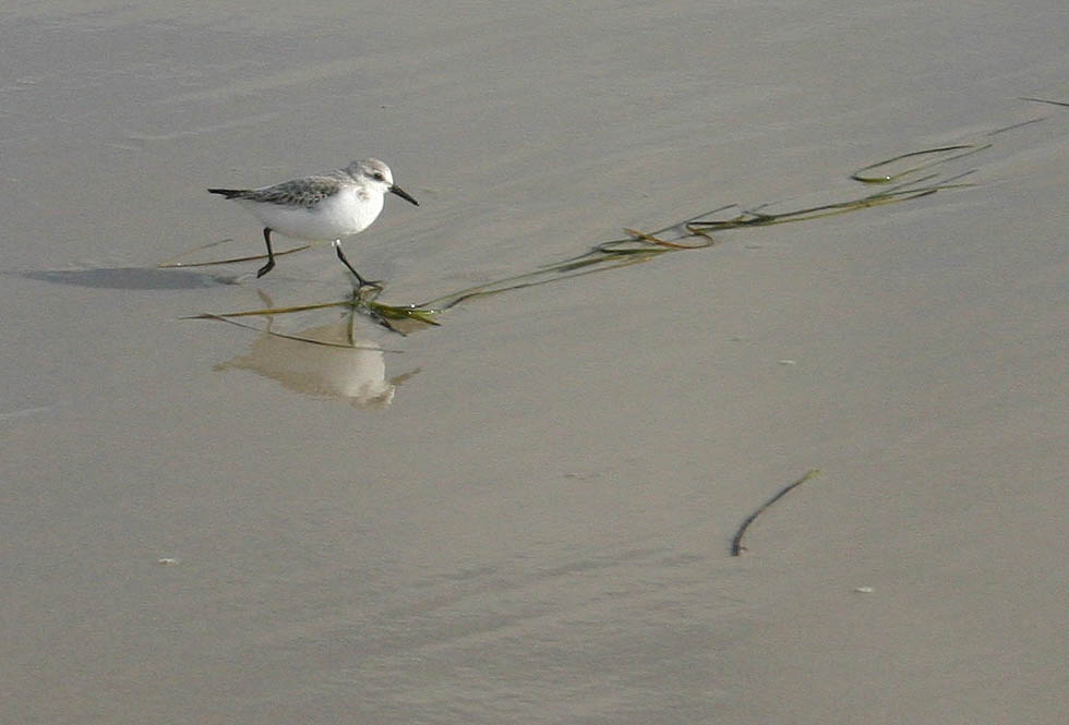 Photographie par rdchdwck pour DesignCrowd (Community Contests) | Design #9089200