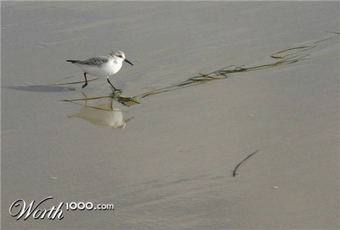 Photography by rdchdwck