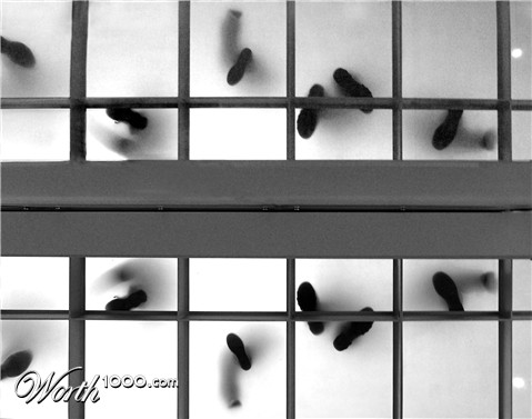 Photography by merymete