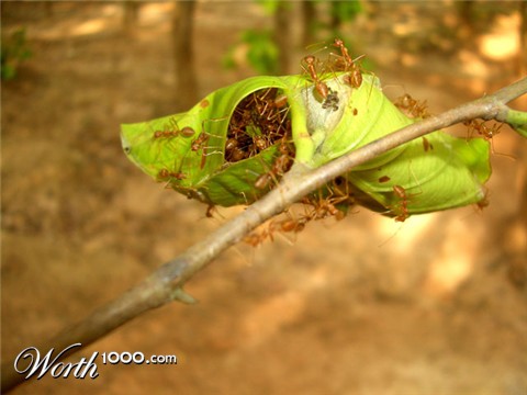 Photography by vipez