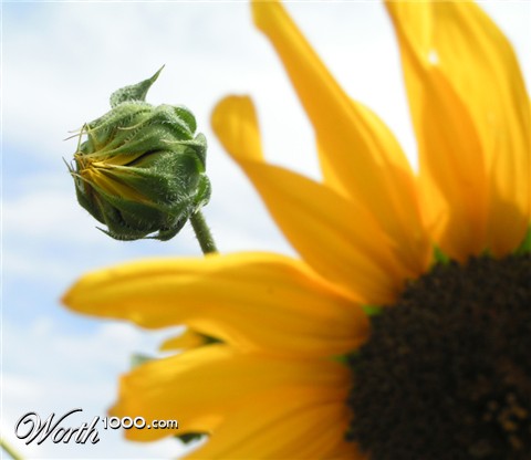 Photography by jasoned