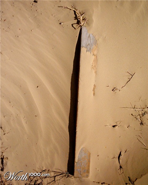 Photography by CheckMinus