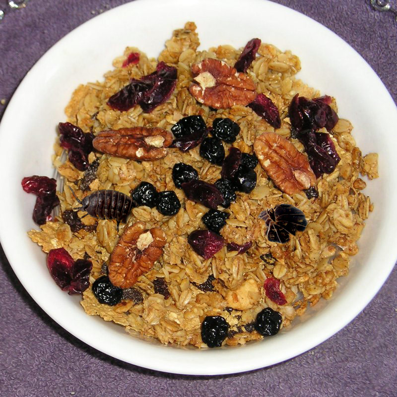 Diseño de Photoshop por 2manyusernames para DesignCrowd (Community Contests) | Diseño #9088203