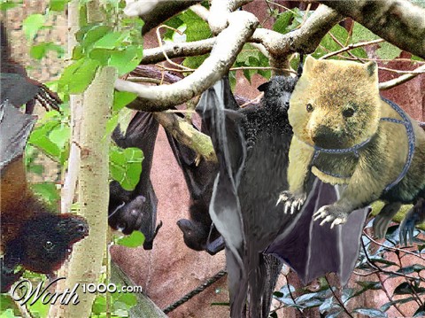 Photoshop Design by bif248