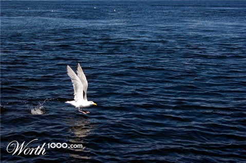 Photography by Mirado