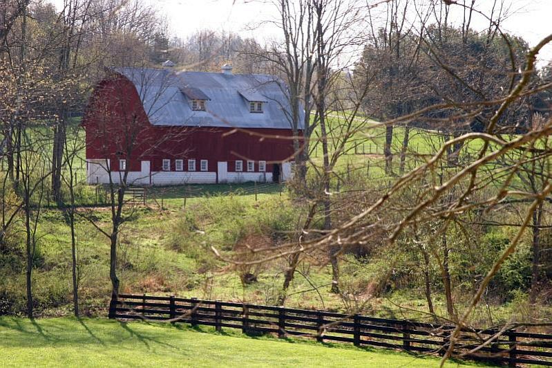 Photography by dirtyrat for DesignCrowd (Community Contests) | Design #9089258