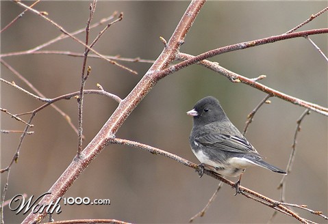 Photography by borbor