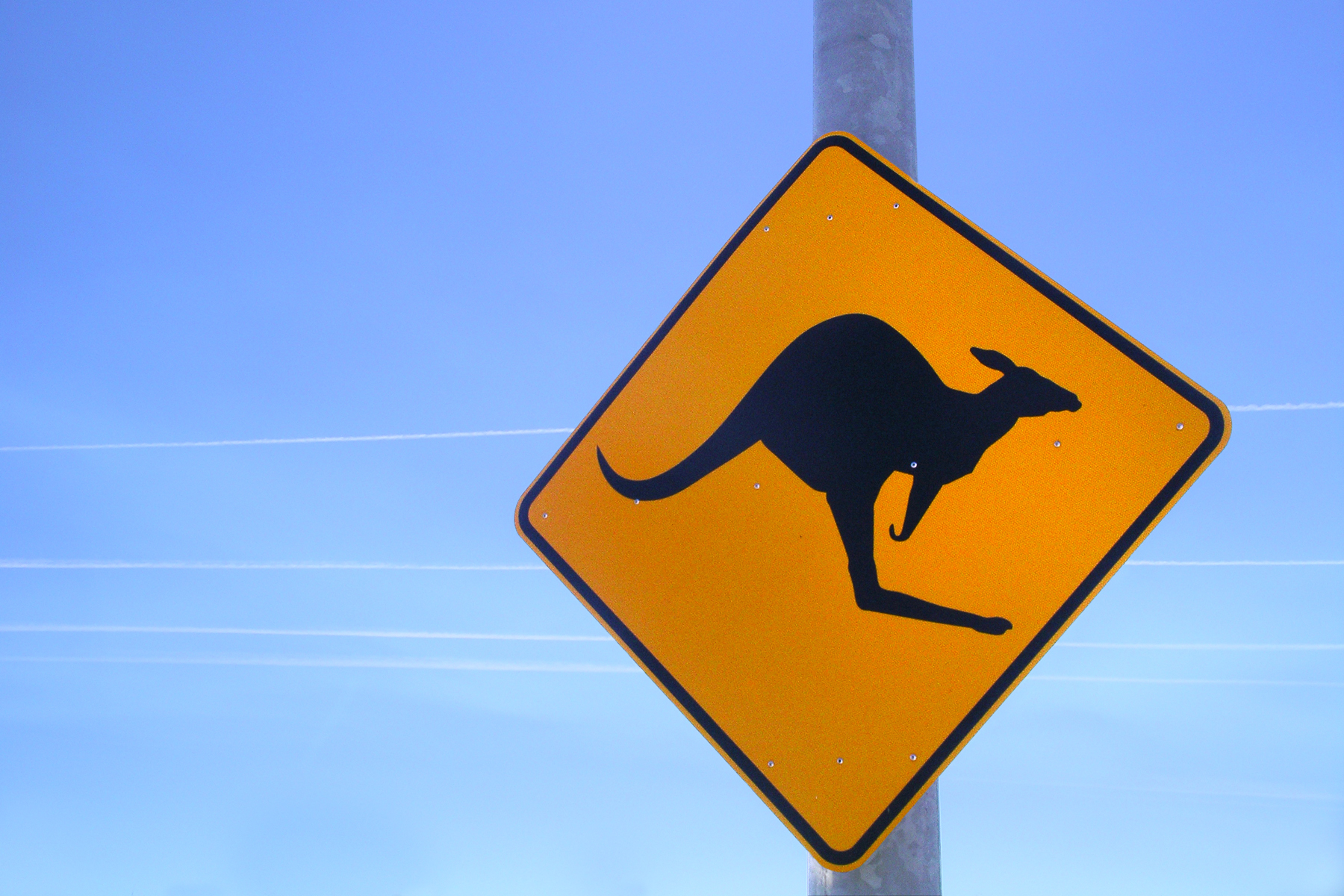 Photography by DrChubb for DesignCrowd (Community Contests) | Design #9089246