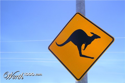 Photography by DrChubb