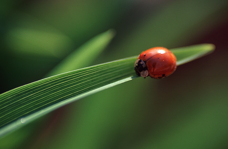 Photography by Ho1972 for DesignCrowd (Community Contests) | Design #9089455