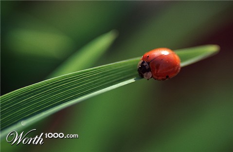 Photography by Ho1972