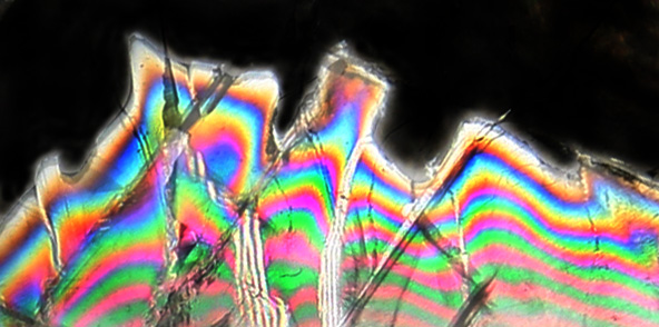 Photographie par rdchdwck pour DesignCrowd (Community Contests) | Design #9085938