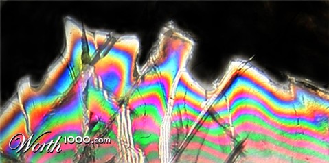 Photography by rdchdwck