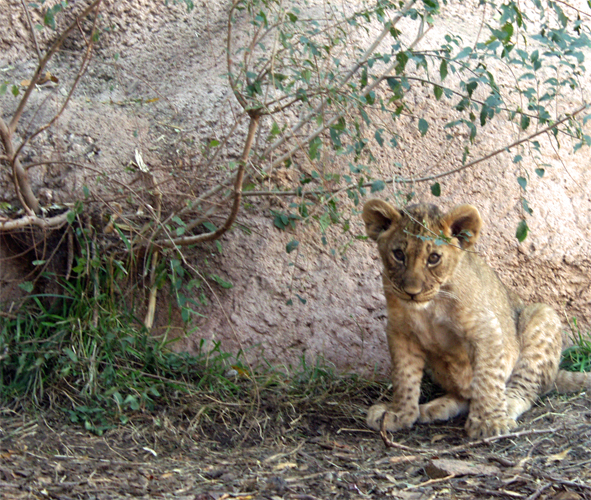 Photography by shutter123 for DesignCrowd (Community Contests) | Design #9089472