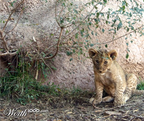 Photography by shutter123