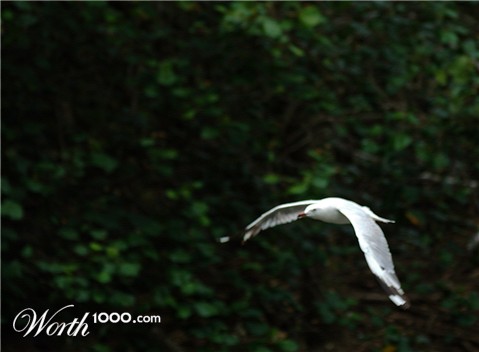 Photography by satelshawn