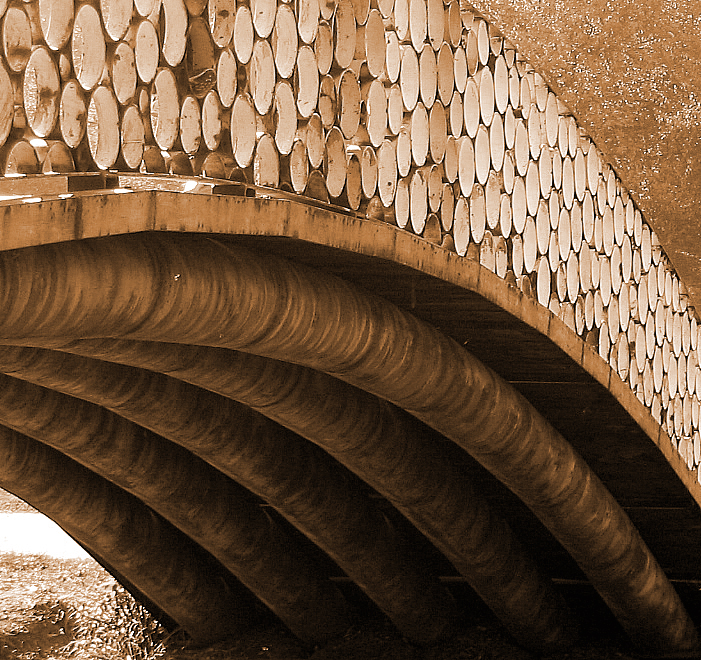 Fotografía por michellu para DesignCrowd (Community Contests) | Diseño #9086047