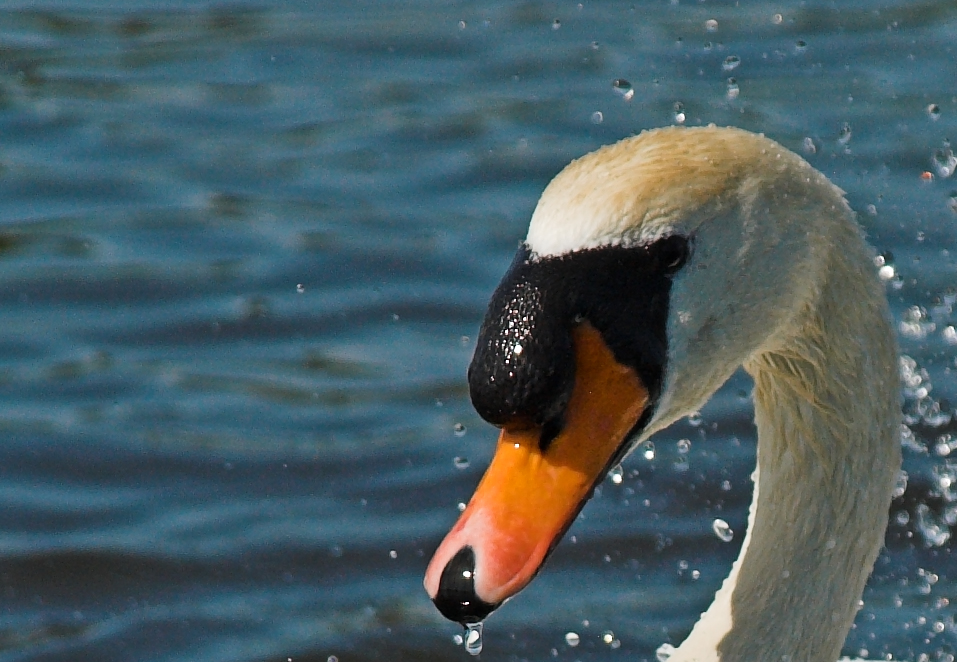 Photography by Johnny5 for DesignCrowd (Community Contests) | Design #9089382